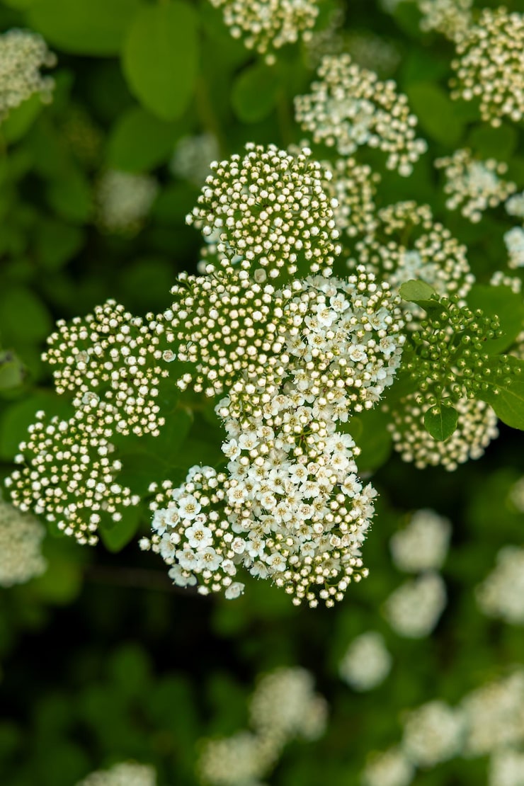 Ambrosia — the First Superfood Blend Crafted Specifically for Men