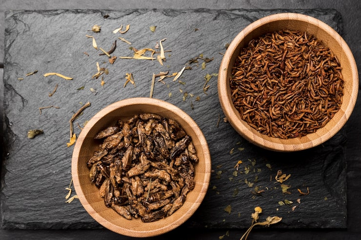 Ashwagandha and Asthma: Assessing Safety, Benefits, and Potential Side Effects