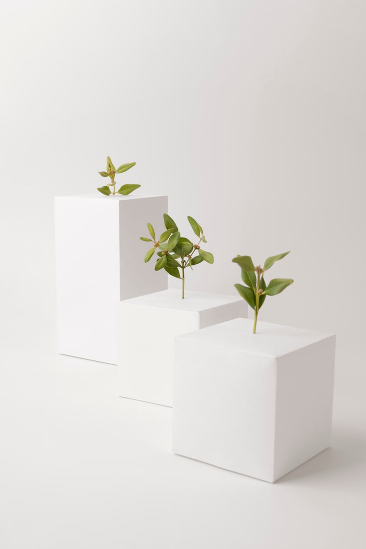 Personal Growth Counseling: Unlock Your Full Potential