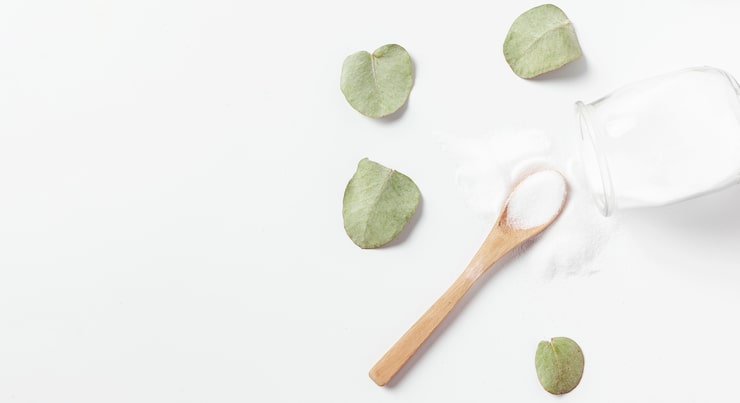 Weleda Review: Leading the Way in Natural Beauty Brands